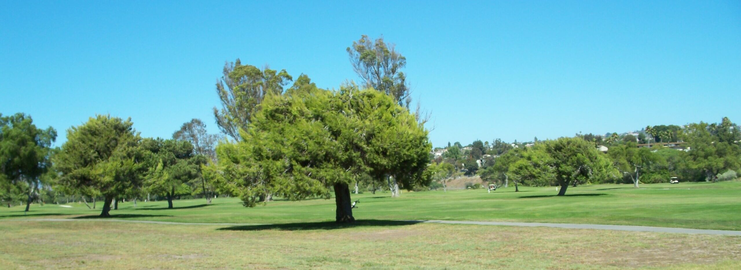 Learning from Nature